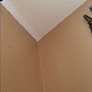 Meet your Posher, Sofia